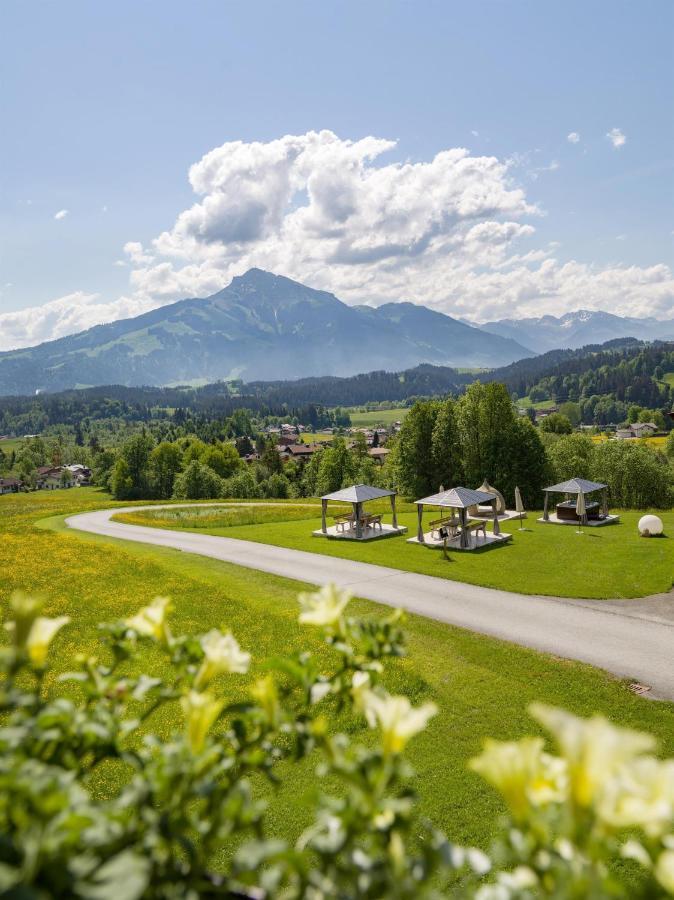 Weitblick